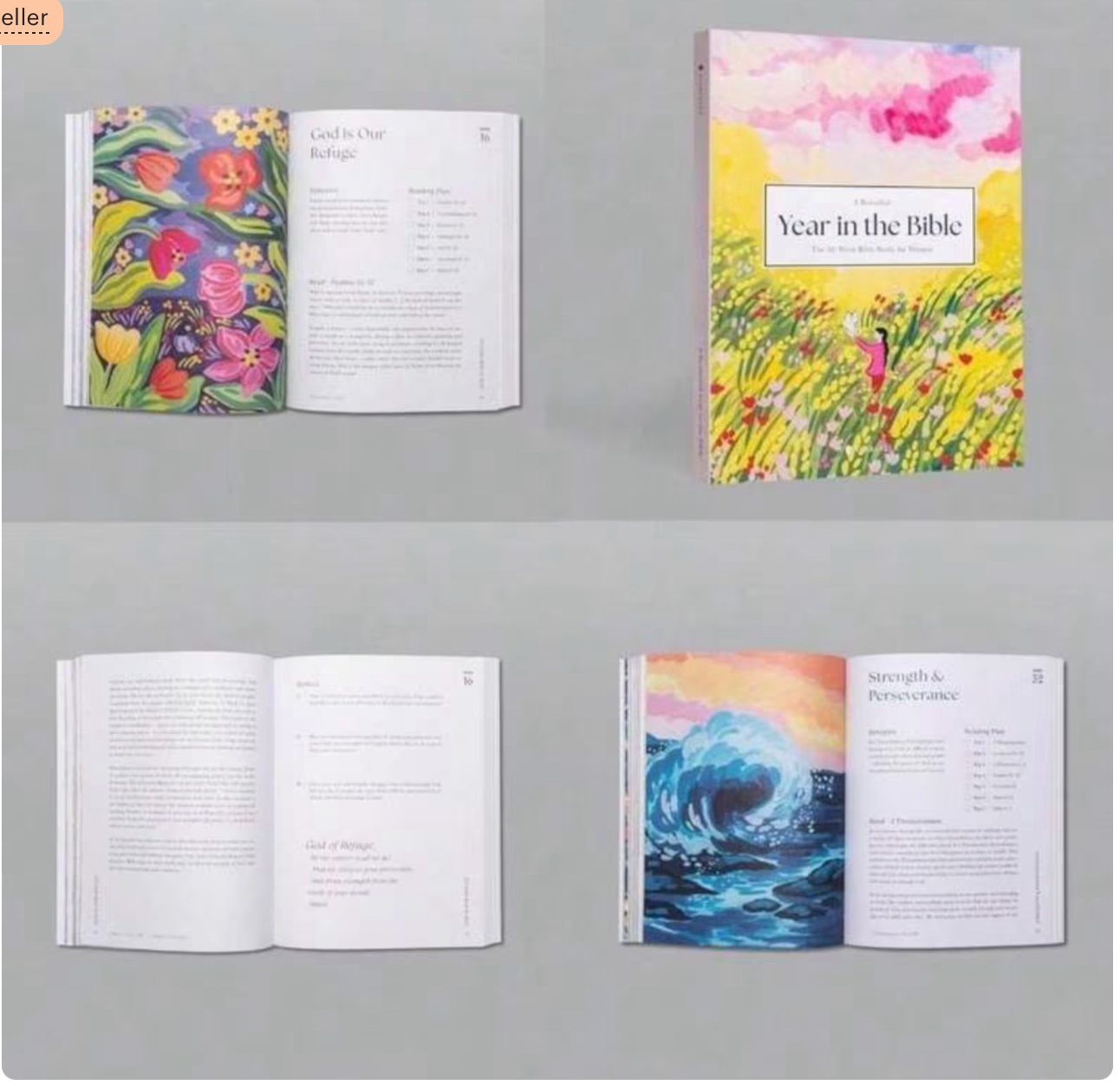 A Beautiful Year in the Bible: A 52-Week Women’s Study Guide