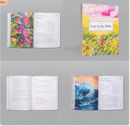 A Beautiful Year in the Bible: A 52-Week Women’s Study Guide