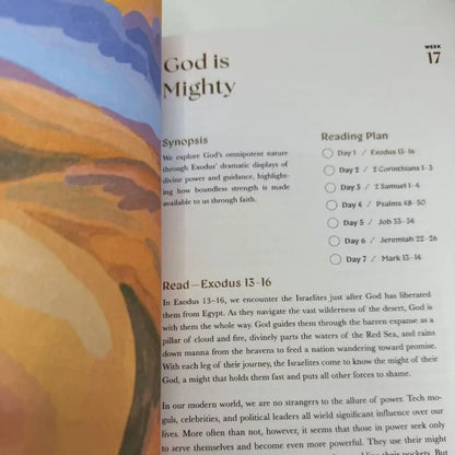 Book a Beautiful Year in the Bible a 52 Week Bible Study for Women Women Bible Study Guide with Suggested Readings